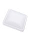 Best Service Ceiling Mount Light