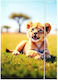 A4 Wild Animal Staple Folder Elastic Band Fol10/100