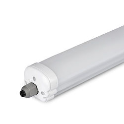 Led Rezistent La Apă Ip65 Lampă Tip Fluorescent 120cm V-tac Cree Vhip Led 36w 4820lm 4000k – 2162856 Led Rezistent La Apă Ip65 Lampă Tip Fluorescent 120cm V-tac Cree Vhip Led 36w 4820lm 4000k – 2162856