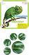 50/50 Games Chameleon 505901chameleon 505901chameleon 726529329001