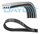 Dayco 4pk915 Ribbed Transmission Belt
