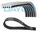 Dayco 5pk730 Curea De Transmisie Cu Nervuri