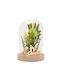 Decorative Lamp