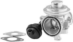 BorgWarner Supapă EGR Motor de mașină BorgWarner Supapă EGR Motor de mașină