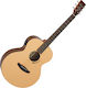 Tanglewood Semi-acustic Chitară