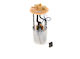 Bosch Car Fuel Pump