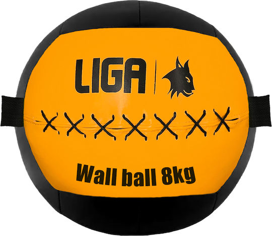 Liga Sport Ball Wall 8kg