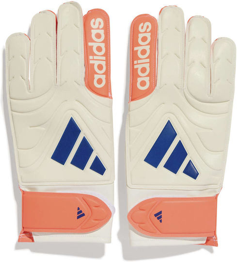 adidas Copa Gl Clb Γάντια Τερματοφύλακα Ενηλίκων Μπεζ