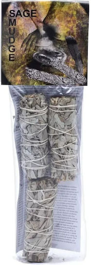 White Sage Smudge Stick 10χ3cm 3 Ραβδιά Θυμιάματος Λευκό Φασκόμηλο