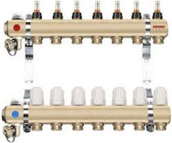 Ferro Valve