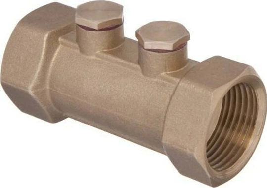 Un Antiverschmutzungsventil 3/4'' Typ Ea 1 Stück