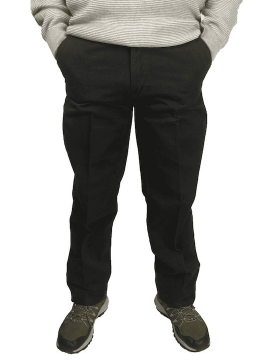 Trousers Chino in Regular Fit Pencil