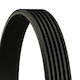 Continental Ctam 6pk1000 Ribbed Transmission Belt