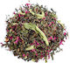 Detox Grün Tee China Tips & Buds 50g