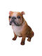 Figure Dog Brown Bulldog Polyresin 18x11x16.5cm Pack of 2 Pieces