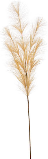 Colored Pampas Grass Branch 100cm 0939428 Honey