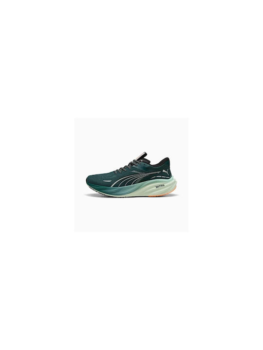 Magnify Nitro 3 Sport Shoes Running Green