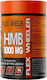 Flex Wheeler Hmb 1000мг 90 Таблетки