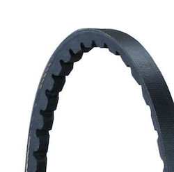 Continental Ctam Avx10x775 Transmission Belt Continental Ctam Avx10x775 Transmission Belt