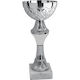 Silber Pokal Sportarten