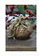 Gerakis Tabletop Lucky Charm Pomegranate Brown made of Plaster 10x10cm 1pcs