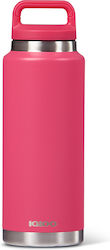 Igloo Bottle Thermos Fuchsia