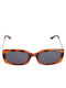 Celestino Sonnenbrillen Mit Metall Details Braune