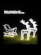 Bakaji Bakaji Christmas Sleigh LED 2 Lighted Reindeer Cool White Indoor Outdoor Use