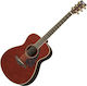 Yamaha Semi-Acoustic Guitar Ls6 Are Tinted / Spruce
