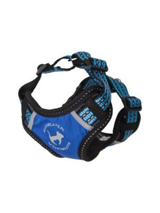 All Dogs All Cats Echipament Sportiv S Albastru