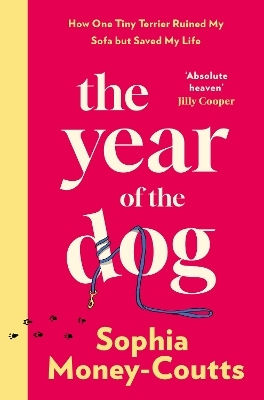 The Year Of The Dog How One Tiny Terrier Ruined My Sofa But Saved My Life Sophia Money-coutts