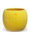 Fankon Flowers Planter Ceramic Yellow 16x16x13.5cm.
