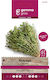 Θυμάρι Thyme Gemma
