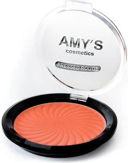 Amy's Cosmetics Руж Compact No.10
