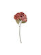 Florista Hortensie Rote Rote Höhe 70 cm
