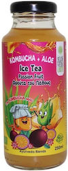 Aloe Vera Earth Комбуча в Прах 250мл