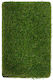Sole Rasen 50mm 200x300