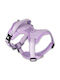 Max & Molly Sport Harness Matrix 2.0 Xlarge 75-105cm Lila Hundegeschirre