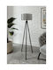 Floor Lamp H138cm. Gray STE-000974-V1586