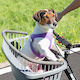 Ferplast Atlas Rapid 10 Small Bicycle Carrying Basket Dimensions: 41x31 Height 31cm Maximum Capacity 7kg