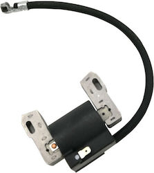 Ignition Briggs&stratton 843931