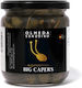 Olmeda Origenes Capere 1buc