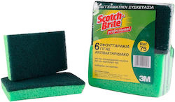 Scotch Brite Σφουγ.νο75 6αδα