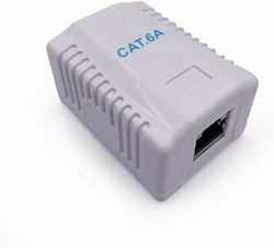 Cablexpert Cat6a Ftp Single Port Surface Mount Box White Cablexpert Cat6a Ftp Single Port Surface Mount Box White