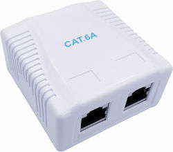 Cablexpert Cat6a Ftp Double Port Surface Mount Box White Cablexpert Cat6a Ftp Double Port Surface Mount Box White