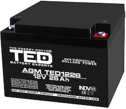 Ted Electric Батерия Ted Electric Ted003638 12V Стационарна VRLA Размери 165 X 175 X 125 мм 12V 26Ah M5 Батерия