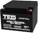 Ted Electric Батерия Ted Electric Ted003638 12V Стационарна VRLA Размери 165 X 175 X 125 мм 12V 26Ah M5 Батерия