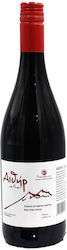 Aither Varietal Red Paraskeva 750ml Aither Varietal Red Paraskeva 750ml
