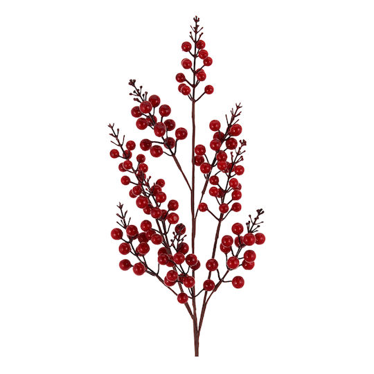 TnS Γκι Berries