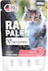 Vetexpert Raw Paleo Adult Sterilised Cat Pork 100g